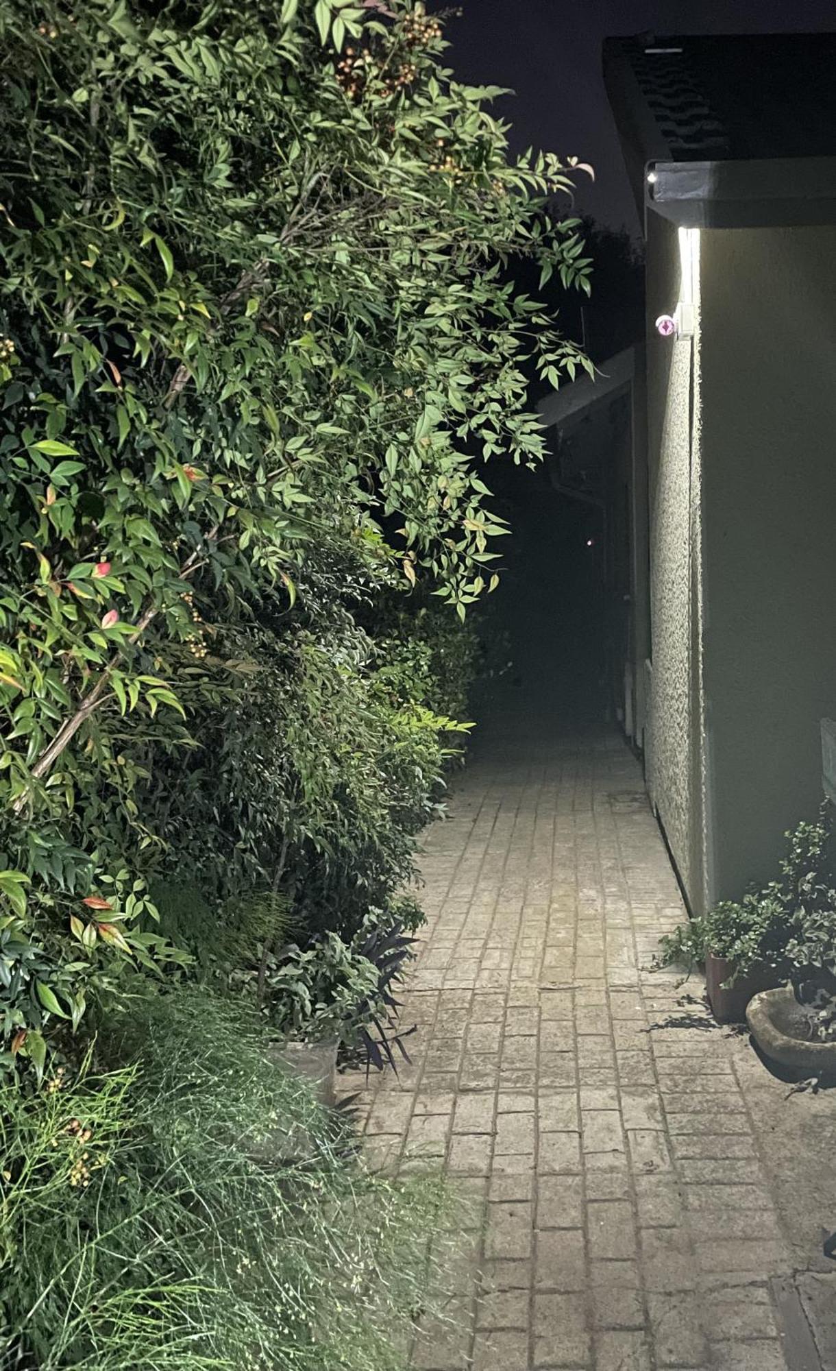 Celtis Lane Guest House Boksburg Ngoại thất bức ảnh