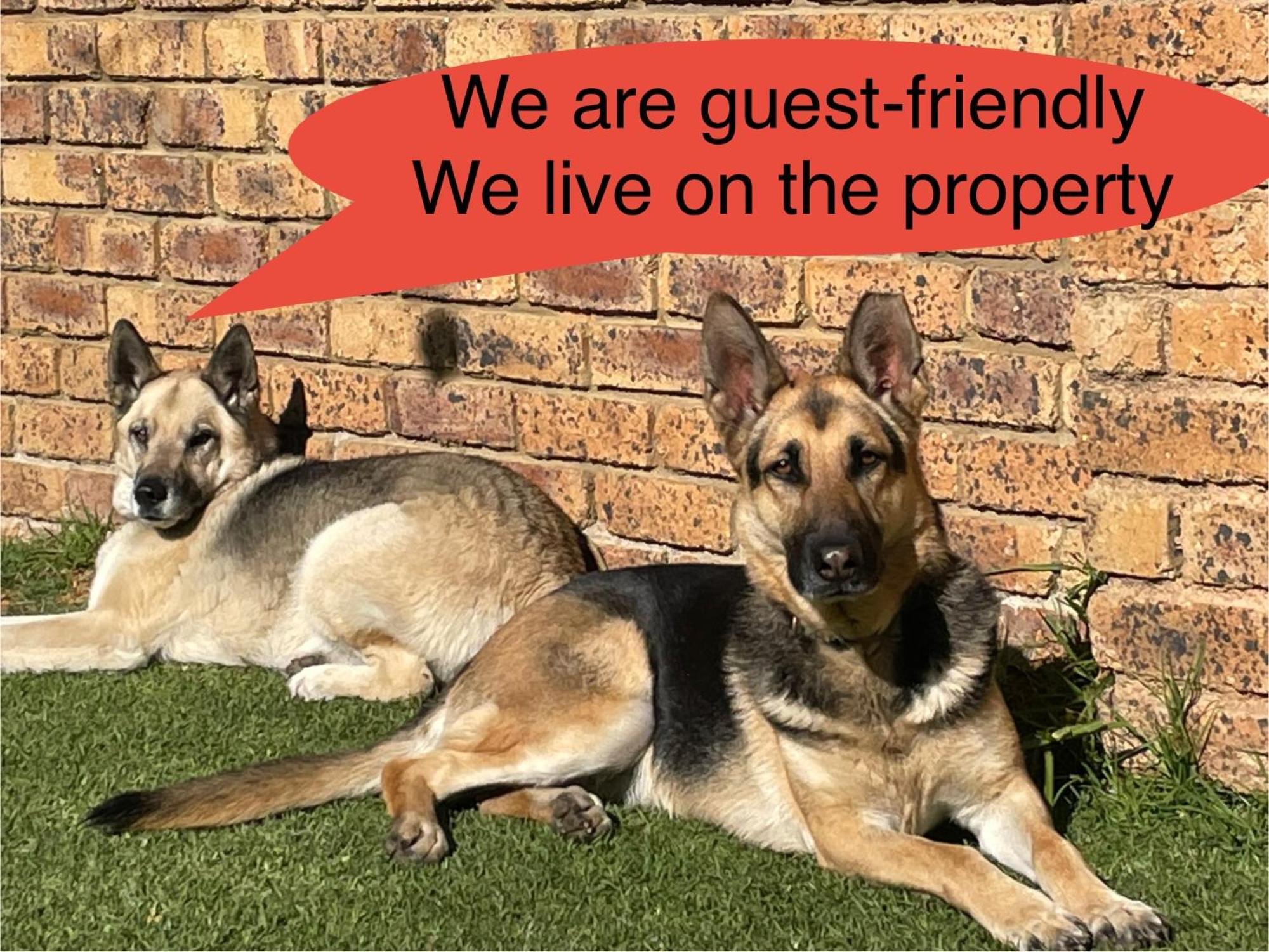 Celtis Lane Guest House Boksburg Ngoại thất bức ảnh
